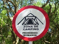 cartel-zona-camping1.jpg