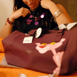 (2009-12-24) Nochebuena N057 Pantera rosa.jpg
