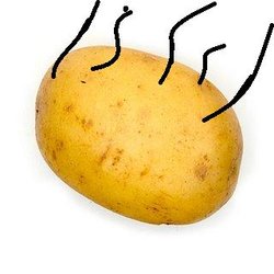 patata2.jpg