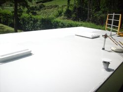 Pintando el techo (6).jpg