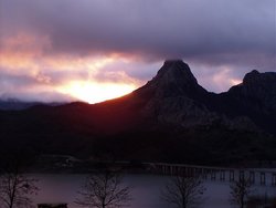 P1010074.jpg