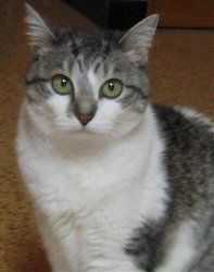 cati.jpg