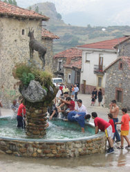 9864_redipollos_chapuzones.jpg