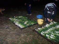 100_3521.jpg