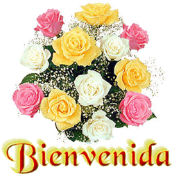 525346a3.gif