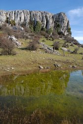 (2009-03-08) Senderismo por la Sierra de Camarolo N125.jpg