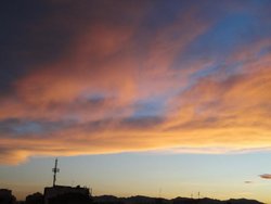DSC00667.jpg