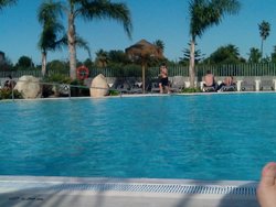 IMG_20150331_164900.jpg