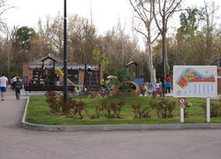 copia DSC01980.jpg
