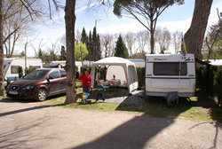 copia DSC01987.jpg