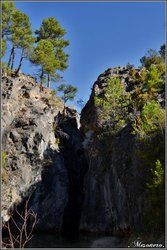 DSC_4906.jpg DSC_4906.jpg