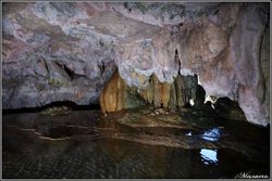 DSC_4991.jpg DSC_4991.jpg