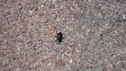 20150408_133139.jpg