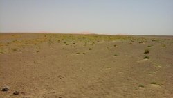 20150410_130426.jpg
