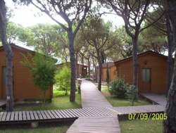 cabañasss.jpg cabañasss.jpg