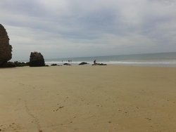 playa doñana.jpg