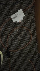 IMG_20150425_180201.jpg