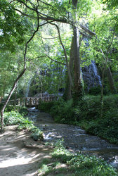 DSC00566.JPG