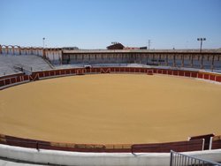 DSC00790.jpg
