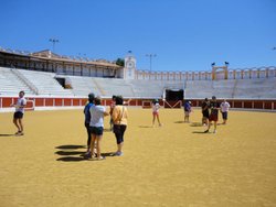 DSC00794.jpg