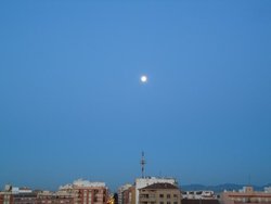 DSC00838.jpg