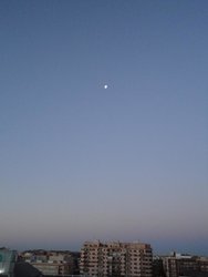 DSC00845.jpg