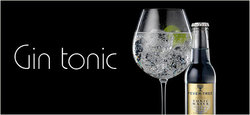 Gin-tonic.jpg