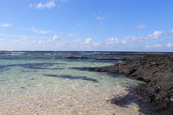 IMG_1681.jpg