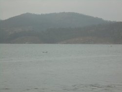 DSC00492.jpg