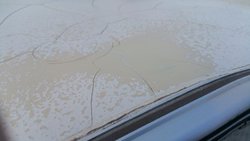 20150811_202225.jpg