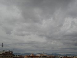 DSC01230.jpg