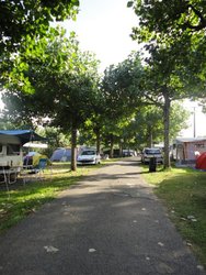 DSC01220.jpg