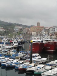 DSC01095.jpg