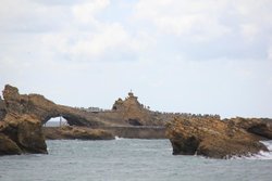 IMG_7550.jpg