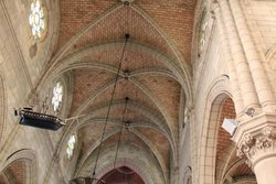 IMG_7569.jpg