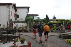 IMG_7183.jpg