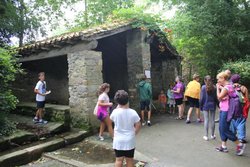 IMG_7192.jpg