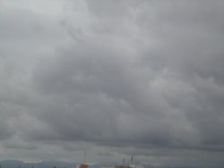 DSC01239.jpg