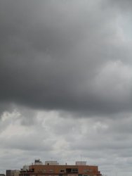 DSC01240.jpg