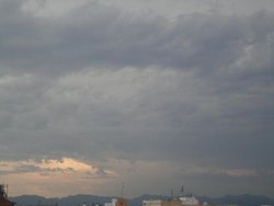 DSC01242.jpg