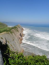DSC01081.jpg