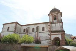 IMG_7972.jpg