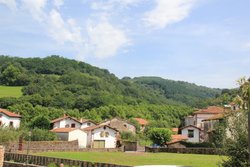 IMG_7993.jpg