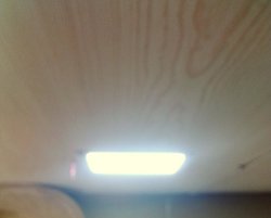 IMG_20150825_120719.jpg