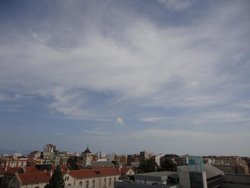 DSC01251.jpg
