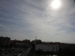 DSC01252.jpg