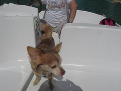 IMG_3724.jpg IMG_3724.jpg