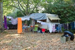 IMG_0328.jpg