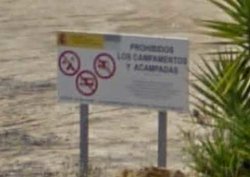 cartel.jpg