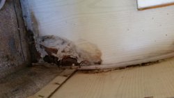 20150907_130231.jpg